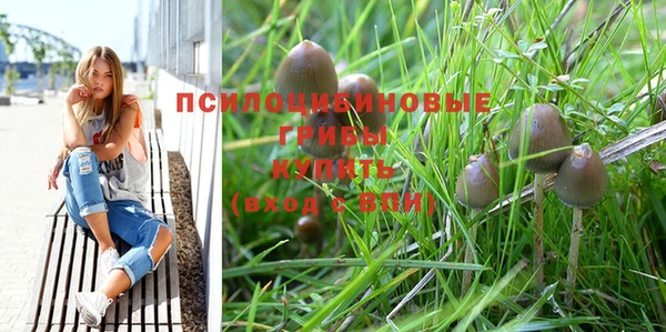 герыч Алексеевка